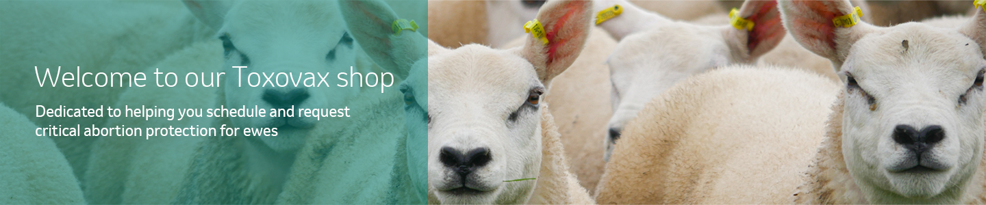 MSD Animal Health Logo